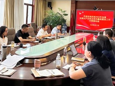 天津咨詢召開全面從嚴治黨及黨風廉政建設(shè)工作年中推動會